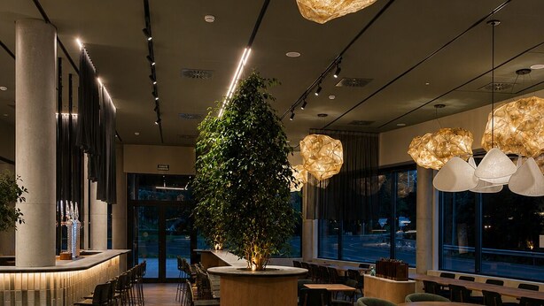 A modern interior with a central plant, seating areas, and unique pendant lighting. - ibis Styles Zumaia Zestoa (Zestoa)