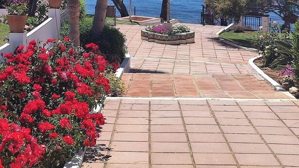 A paved pathway leading to a coastal area with palm trees and red flowers. - Algaida Beach Send Litoral Studio with Sea View, Adults Only (Calahonda)