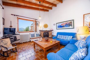 Fernseher, Kamin