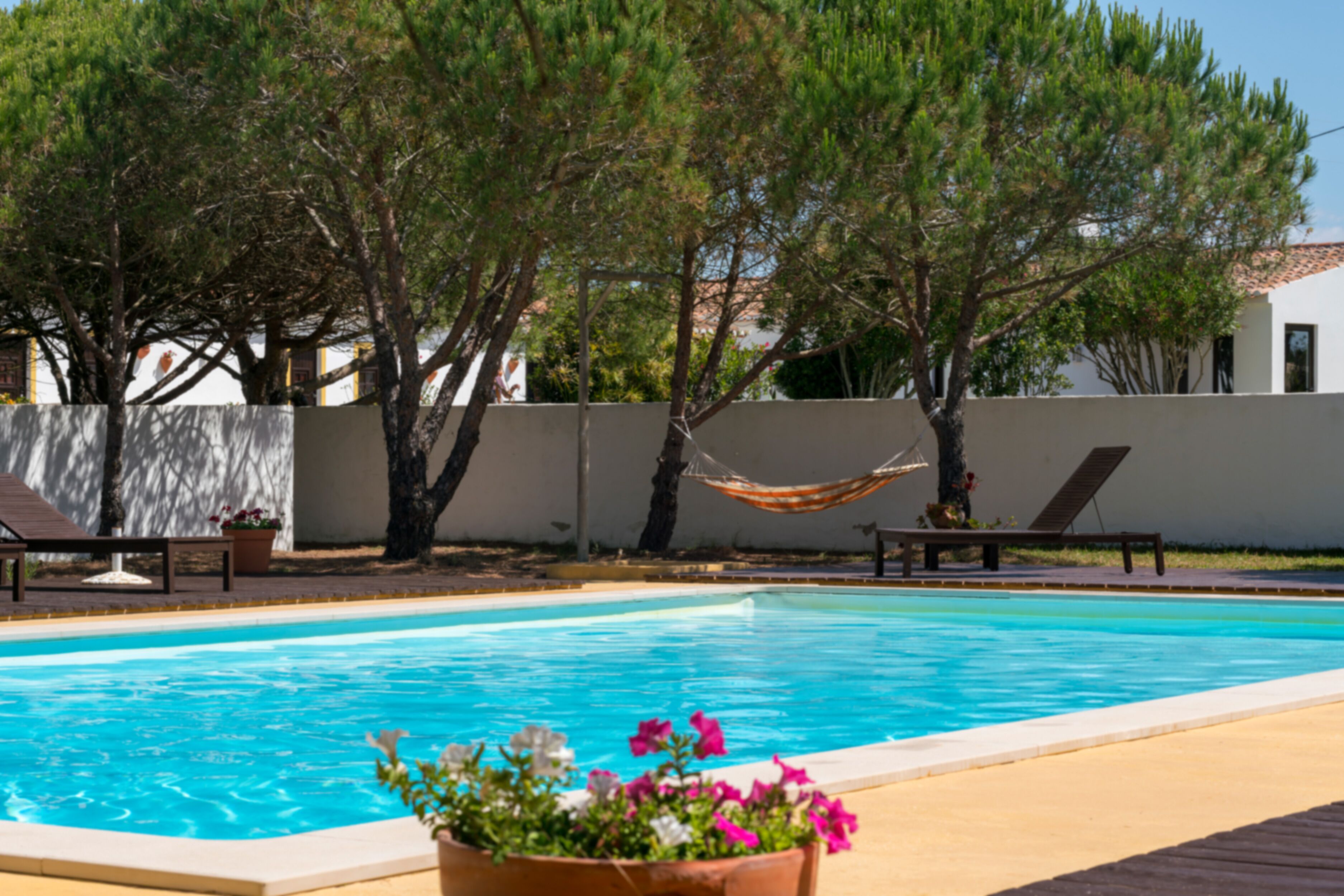 Una piscina con sillas de descanso, una hamaca y plantas en macetas.