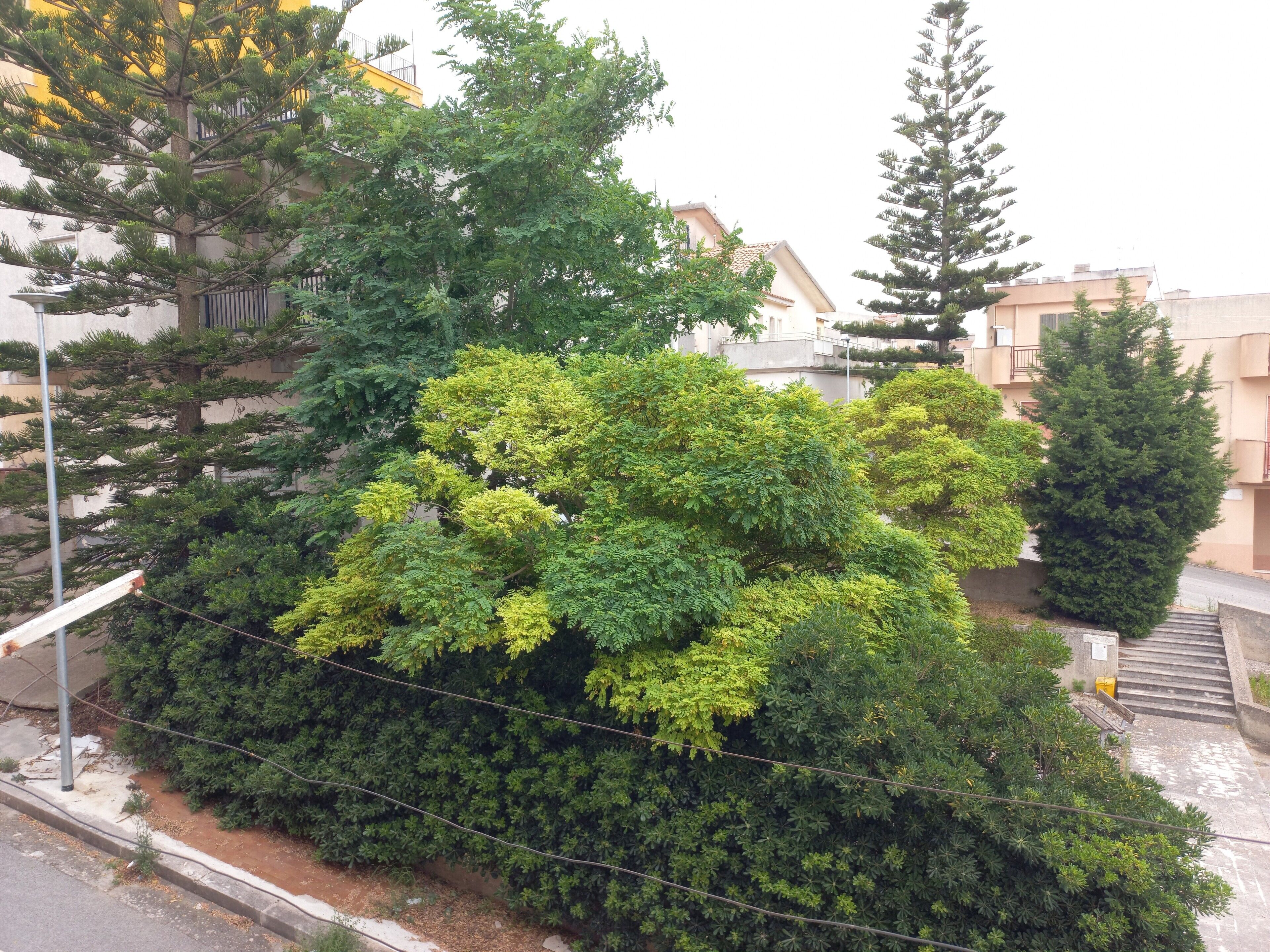 Parco della struttura