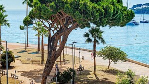 Ein Küstenpark mit einem großen Baum, Bänken und Blick auf das Meer.