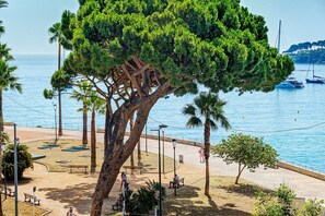 Ein Küstenpark mit einem großen Baum, Bänken und Blick auf das Meer.