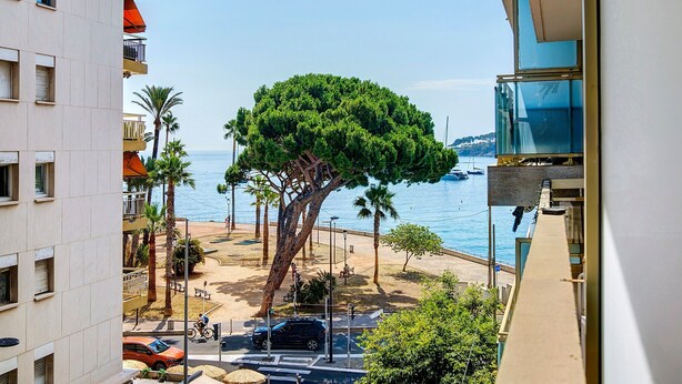 Eine von Bäumen gesäumte Promenade mit Blick auf das Meer, ein abgestelltes Auto und ein Gebäude mit Balkonen.