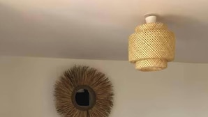 Un dormitorio con cama, un espejo redondo, una lámpara colgante y una planta en maceta.