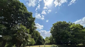 Un parque con árboles y cielo despejado.
