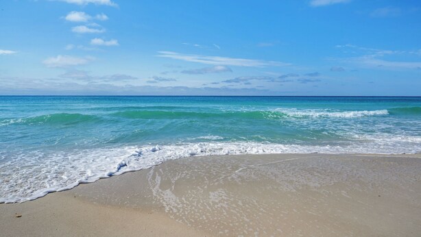 Ein Strand mit klarem, blauem Wasser und einem sandigen Ufer.