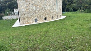 Property grounds - The Ship Leaf, in nature by the sea (Livorno)