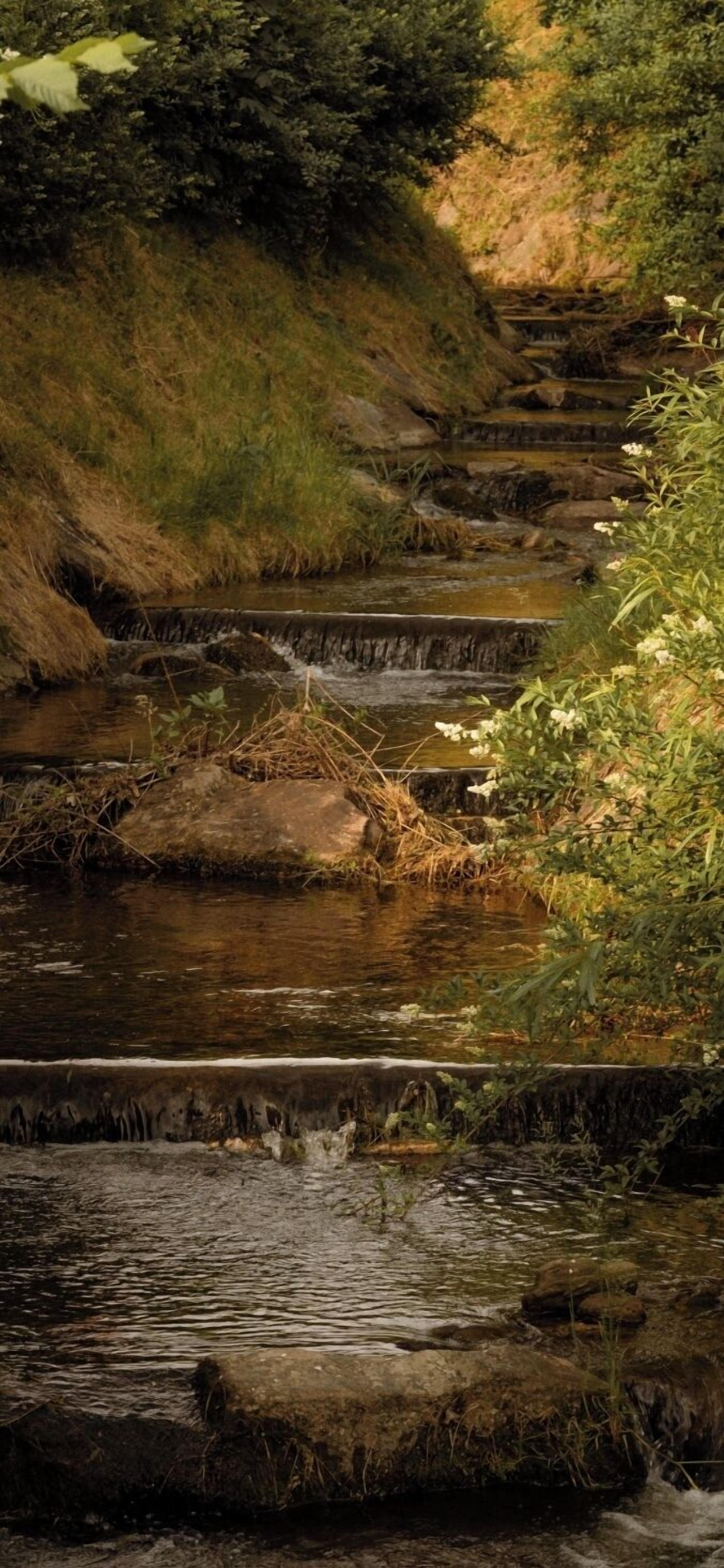 A natural water feature with cascading steps and surrounding vegetation.
