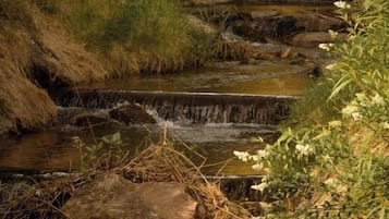 A natural water feature with cascading steps and surrounding vegetation.