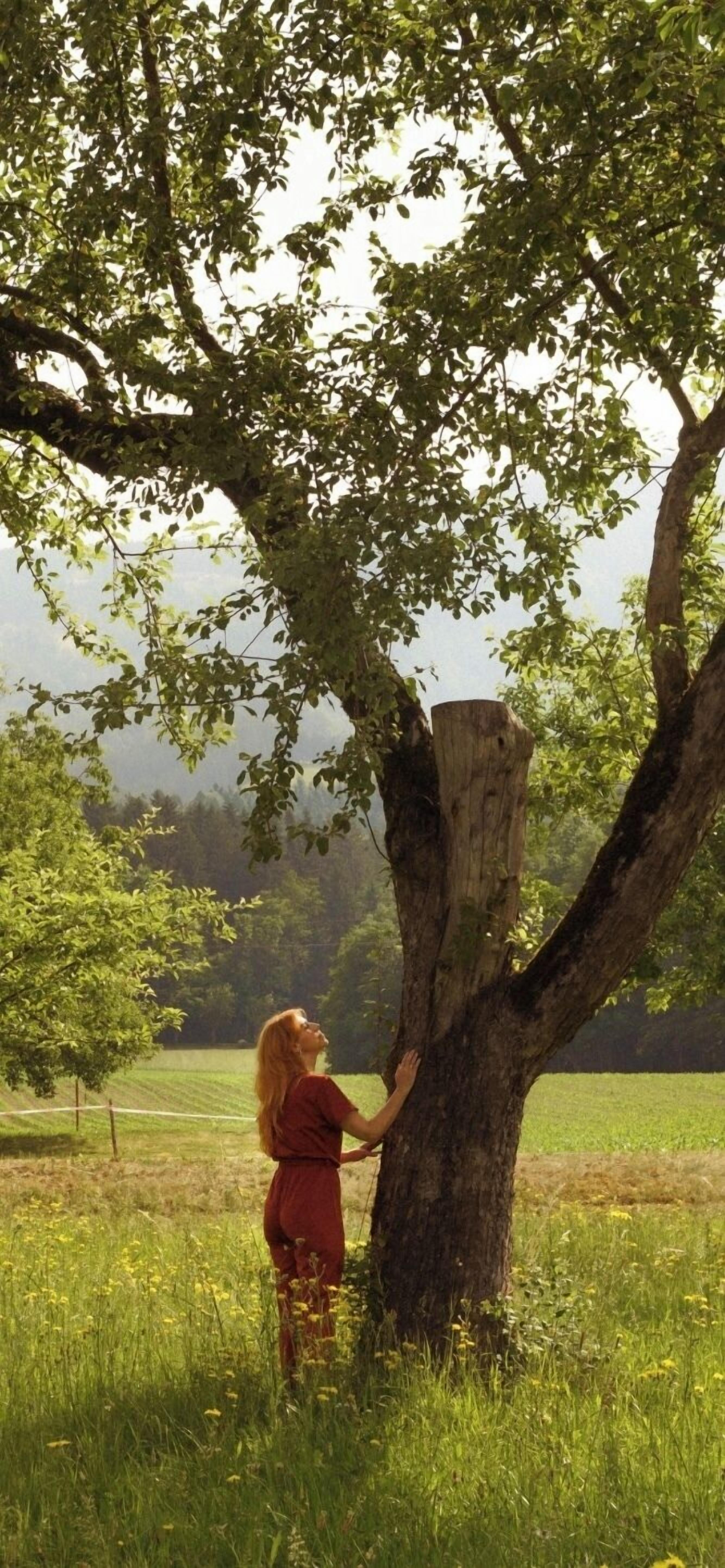 Una persona che tocca un albero in un prato erboso.