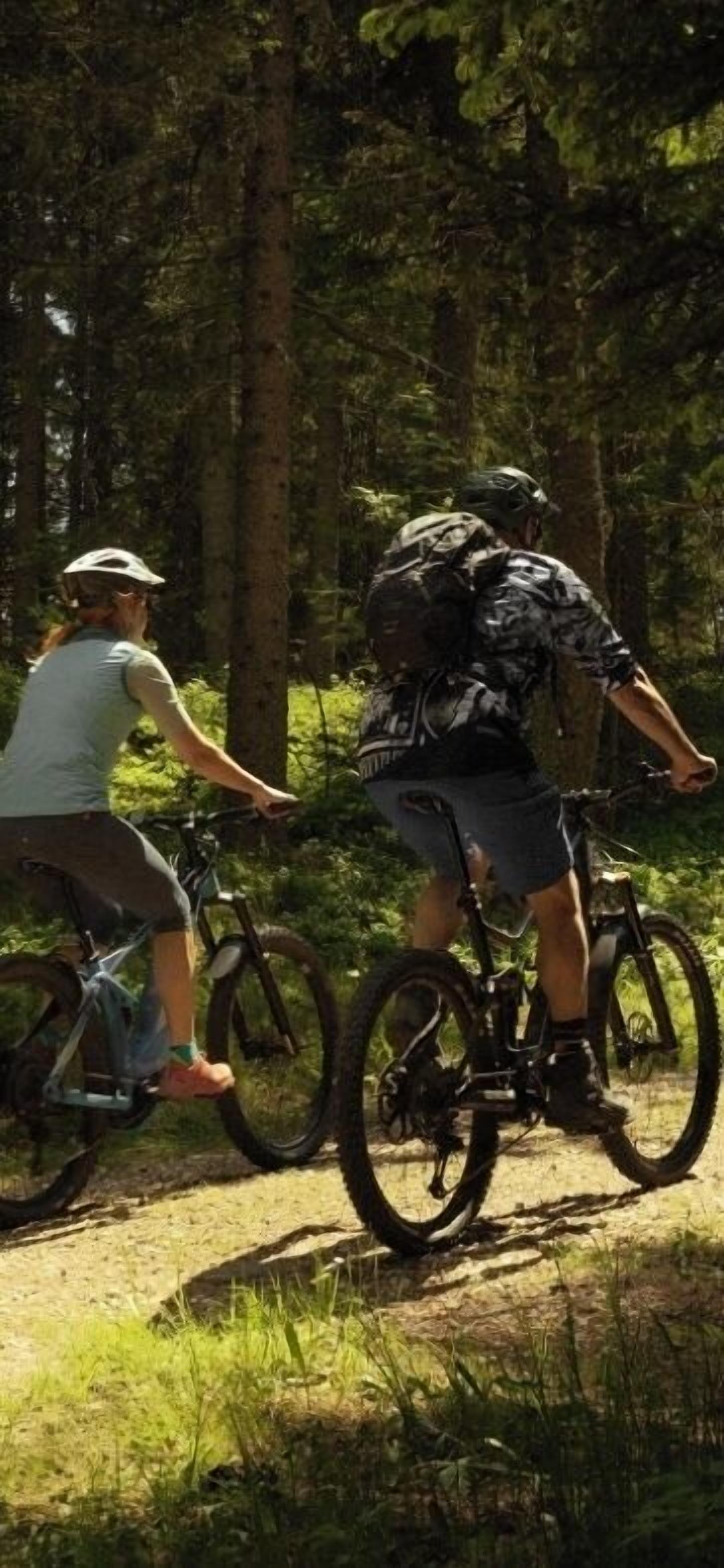 Two people on bicycles in a forested area.