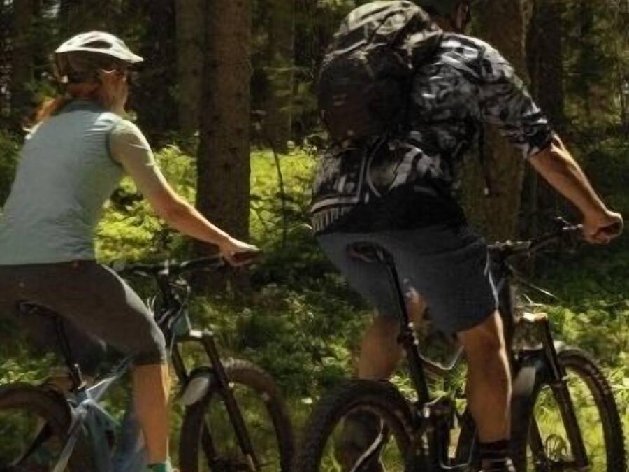 Two people on bicycles in a forested area.