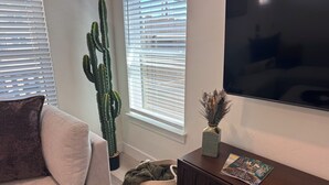 A living room with a sofa, a cactus, a vase with dried plants, a magazine, and a TV on the wall. - ✪ Armadillo Rodeo ✪ 1 mile to Baylor, 1/2 mile to Magnolia Silos! (Waco)
