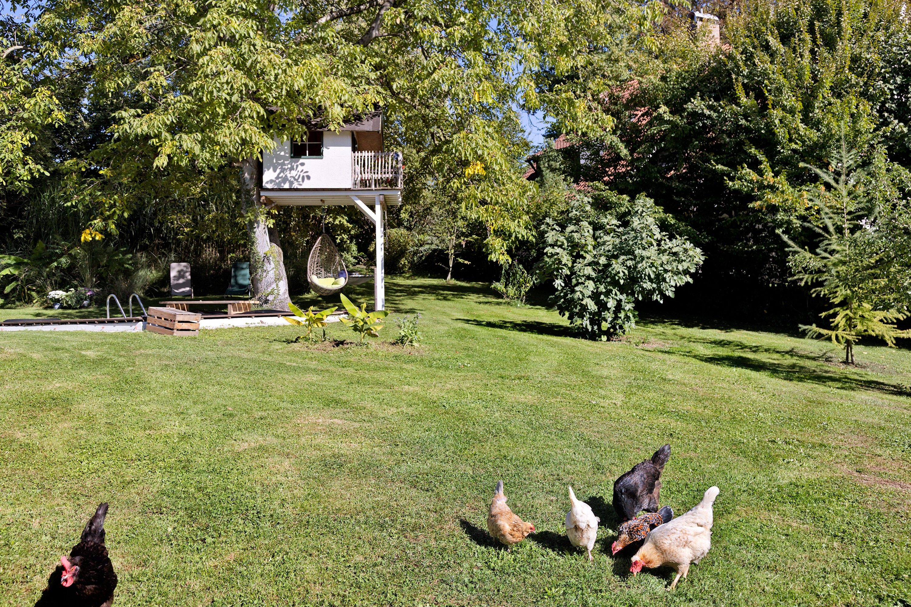 A grassy area with a small treehouse and a hanging chair.