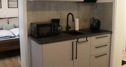 Beautifully renovated apartment right by the spa gardens