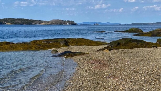 Egy kavicsos strand, kristálytiszta vízzel, távoli parttal és részben felhős éggel.