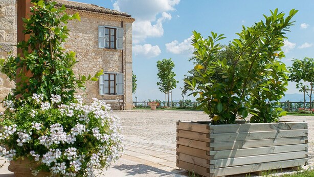 Un edificio de piedra con contraventanas, una jardinera de madera con follaje y una zona pavimentada.