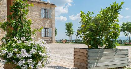 Az. ag. Ricciarelli N.