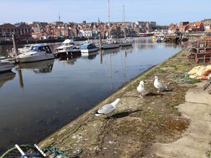 Marina - Marina Side (Whitby)