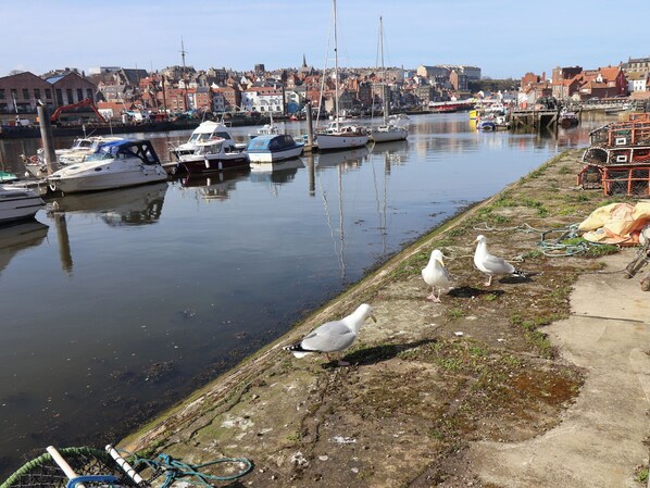 A harbor with boats, a waterfront promenade, and a cityscape in the background. - Marina Side (Whitby)