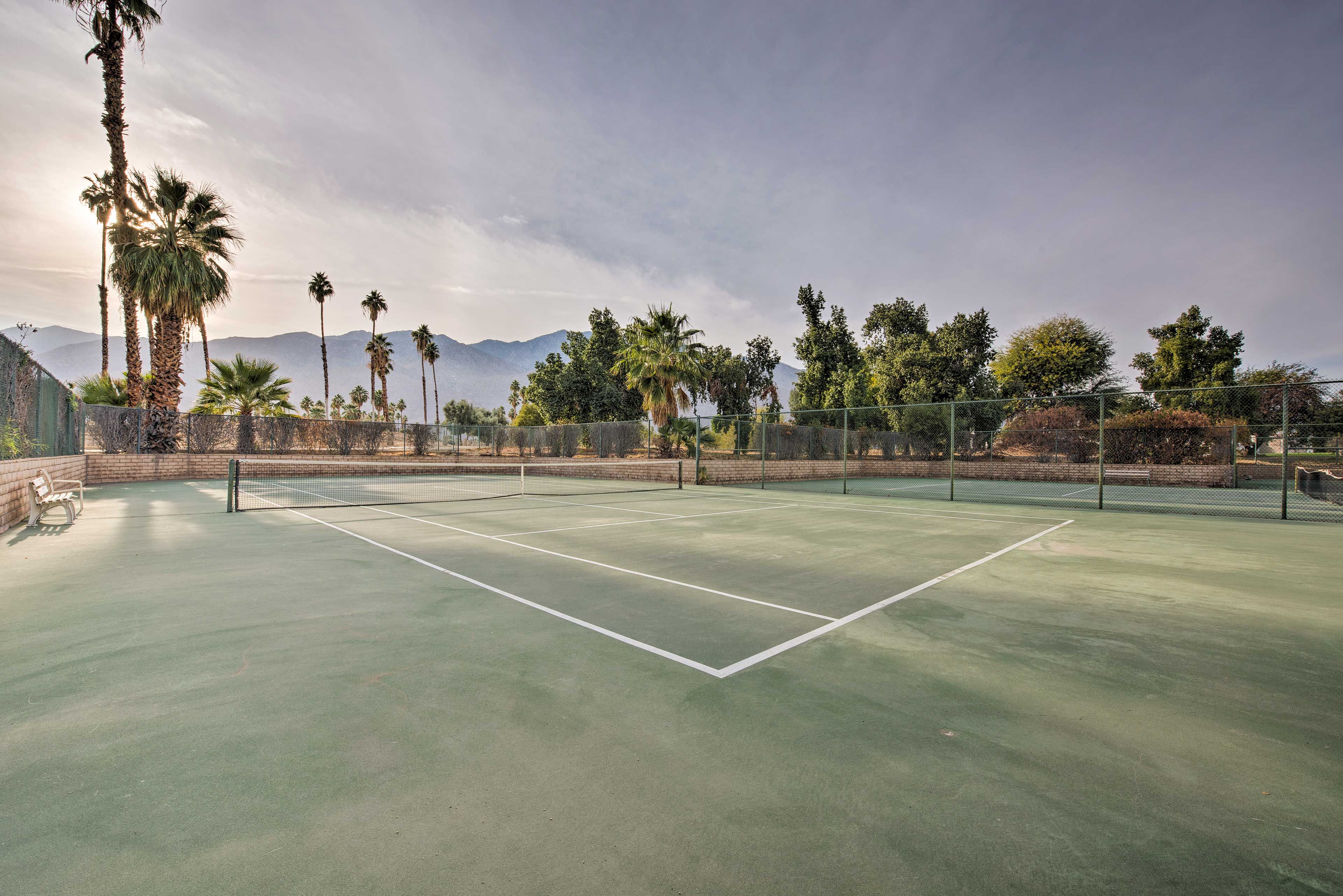 A tennis court with a net, surrounded by palm trees and mountains in the background.