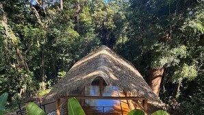 Une hutte au toit de chaume, entourée d’une végétation tropicale luxuriante.