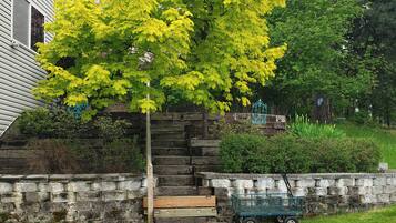 Apartamento (1 Bedroom) | Interior