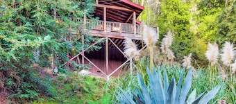 Rustic Mtn-view Home w/ Wood Stove: Dog Friendly
