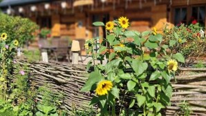 Una casa de madera con techo de paja, rodeada por un jardín lleno de girasoles.