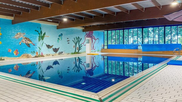 An indoor swimming pool with a mural of sea life on the walls, a diving board, and a clear view of the outdoors through large windows. - Serene Ewijk Abode by the Lake (Ewijk)