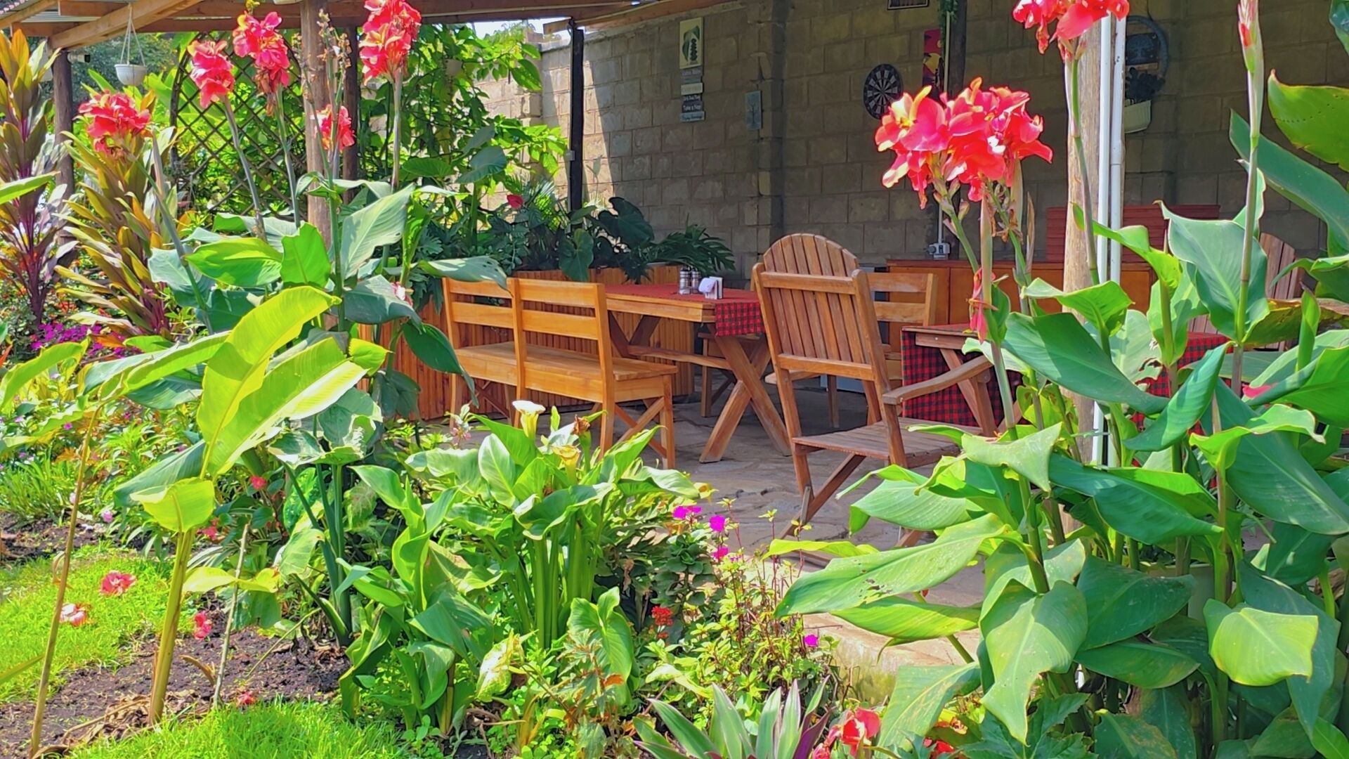 Un espacio de estar al aire libre con mobiliario de madera y una variedad de plantas.