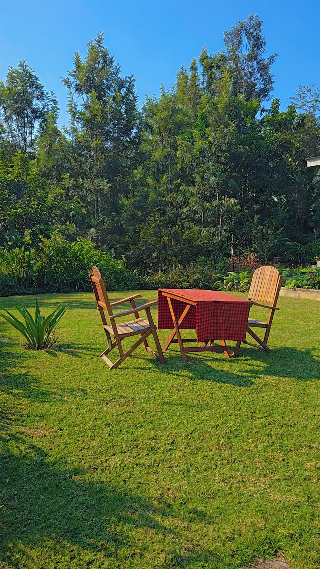 An outdoor seating area with a checkered table and two wooden chairs.