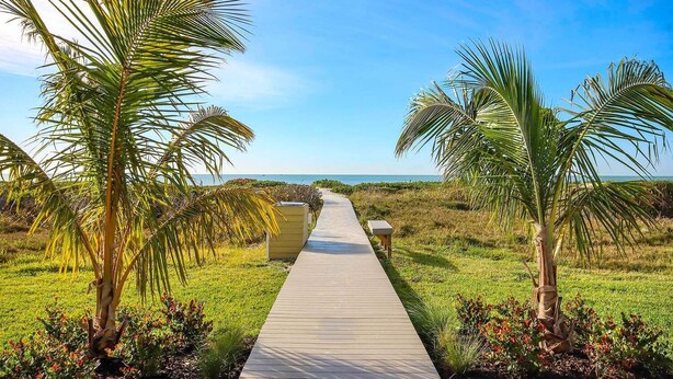 Un sendero de madera que lleva a una playa, bordeado de palmeras y un banco.