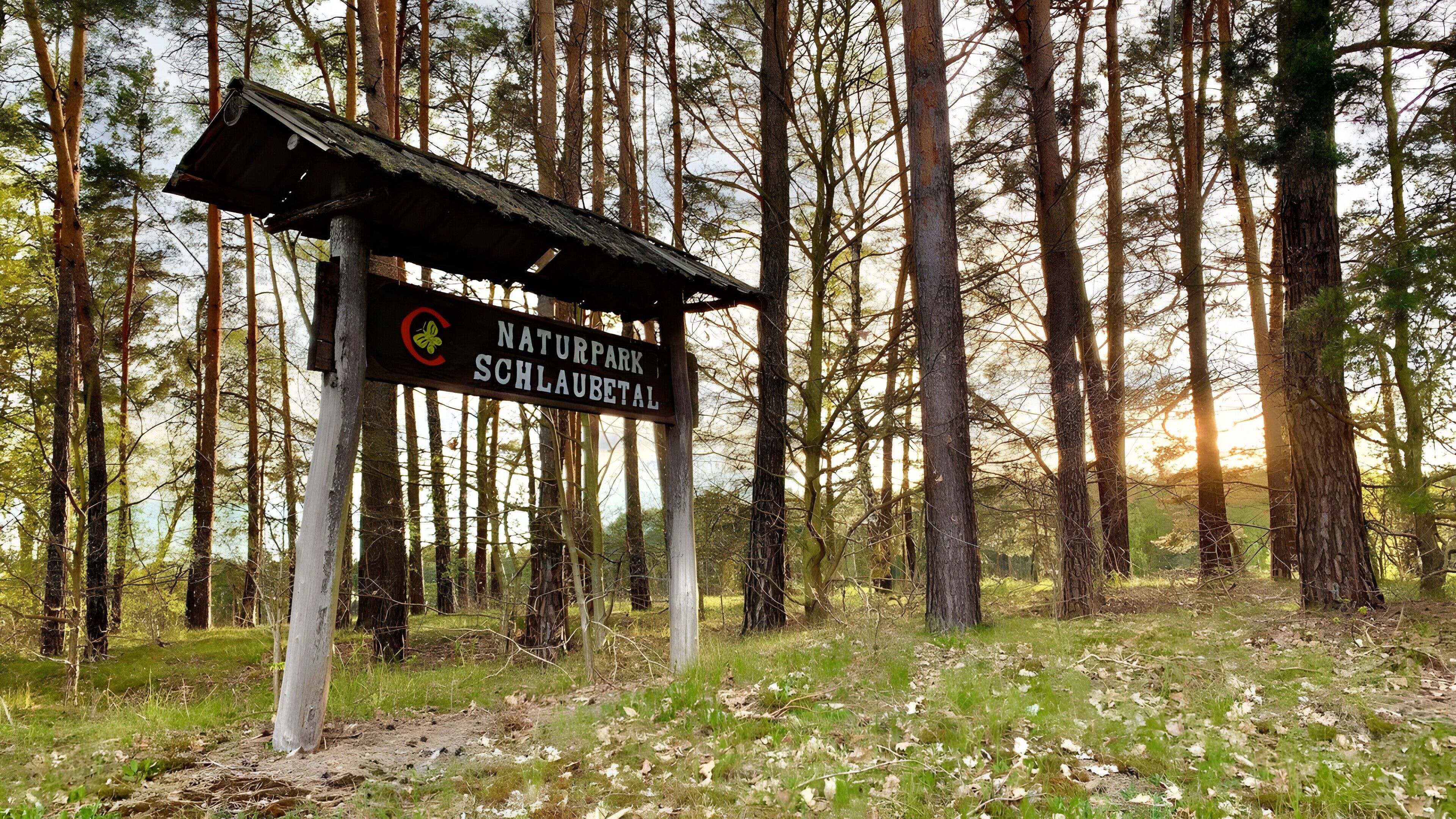 A signpost in a forested area with a sign reading 'NATURPARK SCHLAUBETAL.'