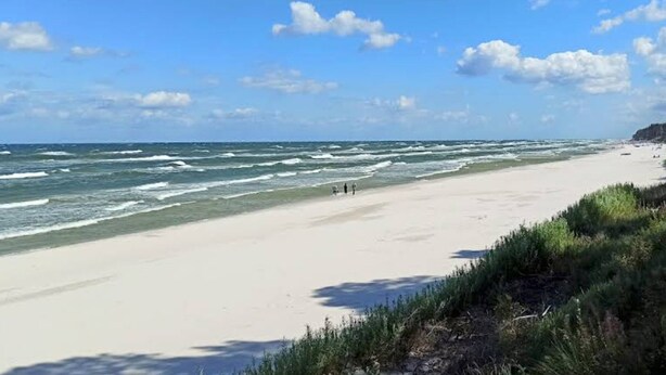 A beach with waves, a clear sky, and some vegetation. - Large Holiday Home With Private Garden (Choczewo)