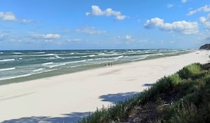 A beach with waves, a clear sky, and some vegetation. - Large Holiday Home With Private Garden (Choczewo)
