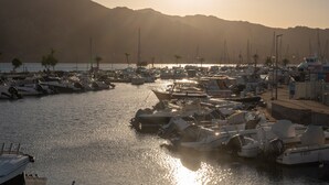 A marina with boats docked, a clear sky, and mountains in the background.