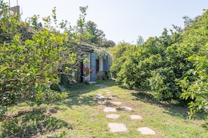 A stone pathway leading to a rustic stone building with a door and windows, surrounded by lush greenery.