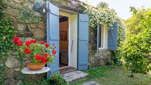 A stone building with a door open, a potted plant with red flowers, and a small table.