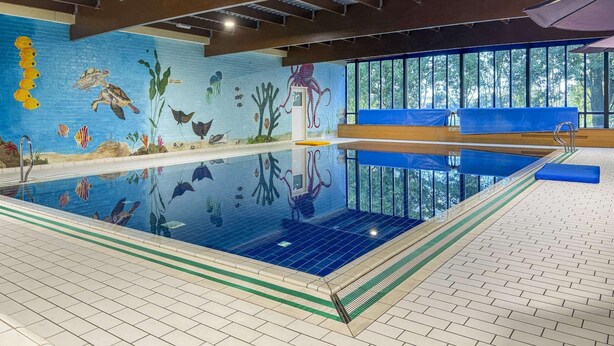 Ein überdachter Pool mit Wandmalerei von Meereslebewesen, einer Holzbank und Blick auf Bäume durch große Fenster.