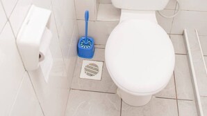 Ett badrum med en toalett, en blå toalettborste, en pappershandduksdispenser och tre flaskor med hygienprodukter placerade på toalettstolen.