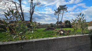 A rural landscape with a grassy field, trees, and a distant view of houses.