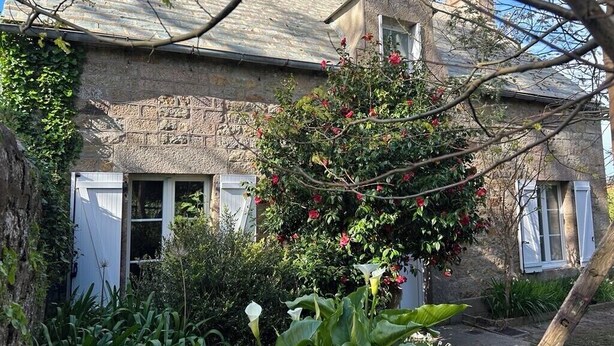 A stone building with a garden, a tree with red flowers, and a white door.