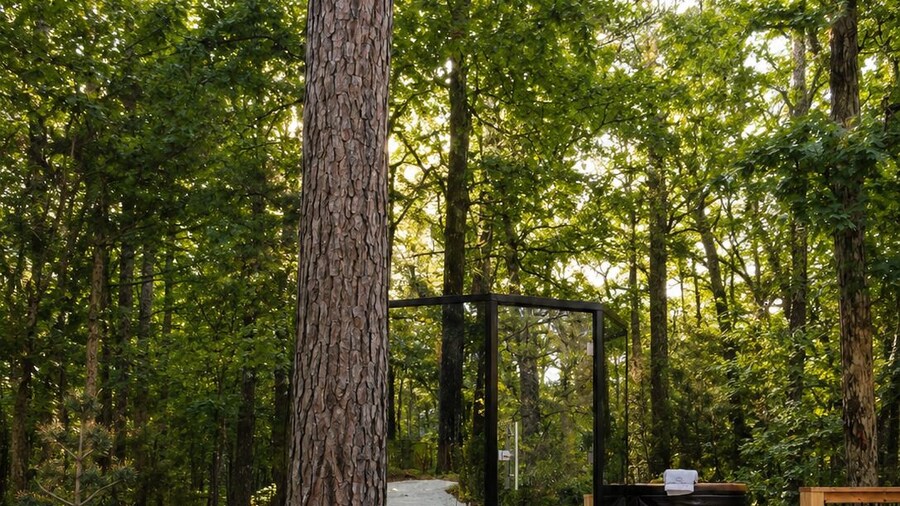 Forest Springs Resort