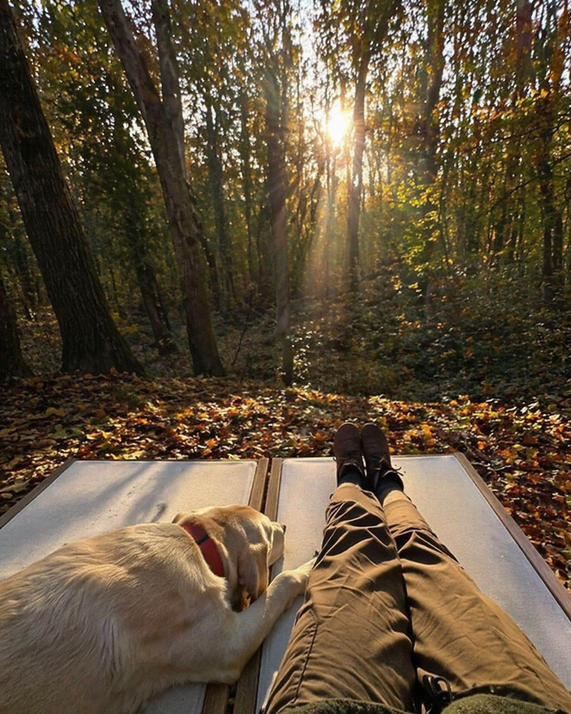 精品双人房, 山景 | 客房景观