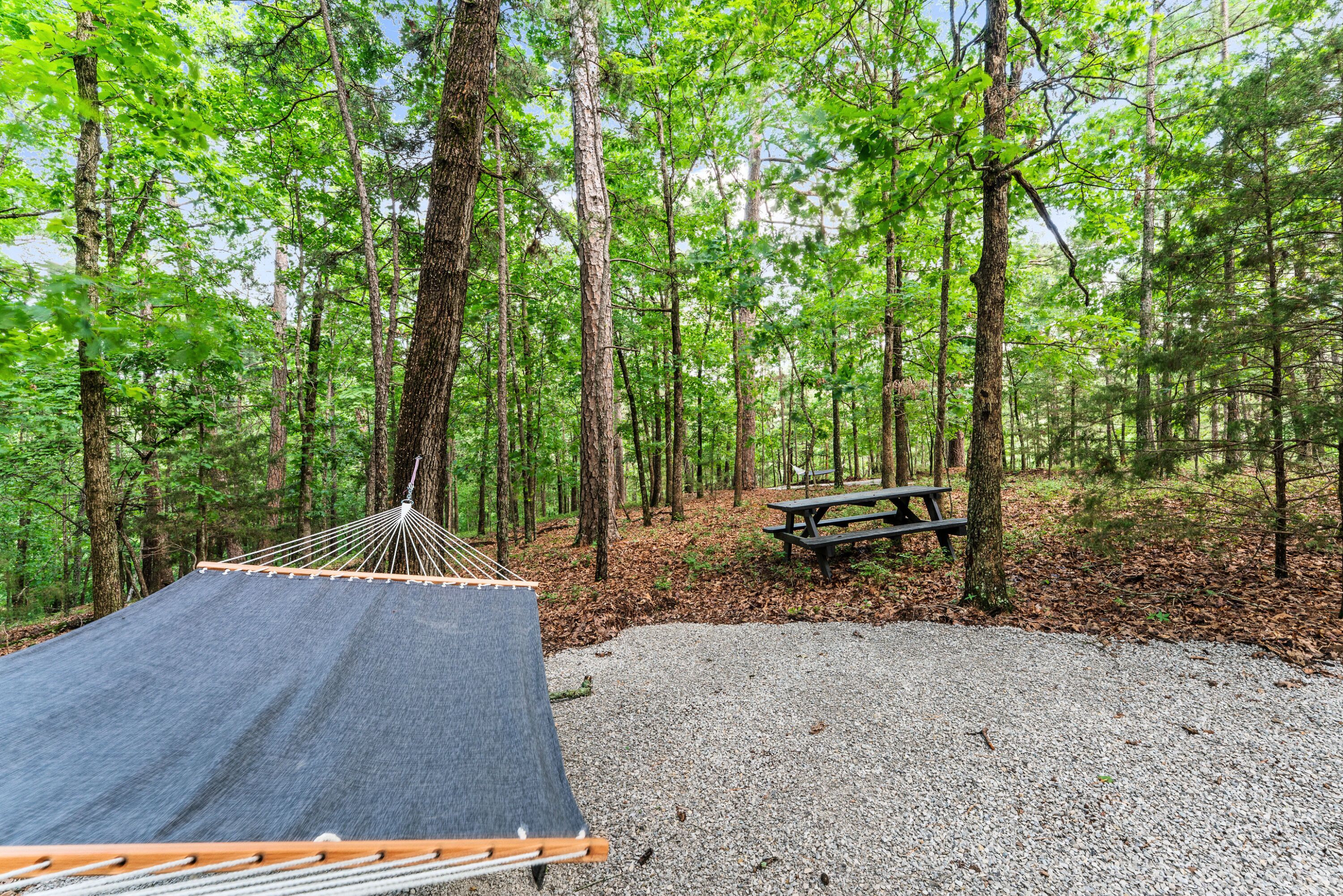 A hammock, a picnic table, and a forested area.