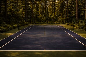Sports court - Forest Springs Resort & Spa (Eureka Springs)