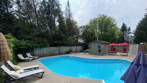A rectangular swimming pool with a diving board, surrounded by lounge chairs and umbrellas. - Beautiful cottage located just steps from the main beach (Sauble Beach)