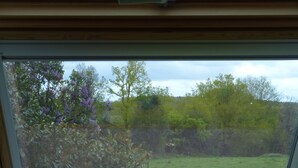 A window with a view of a grassy field and trees.